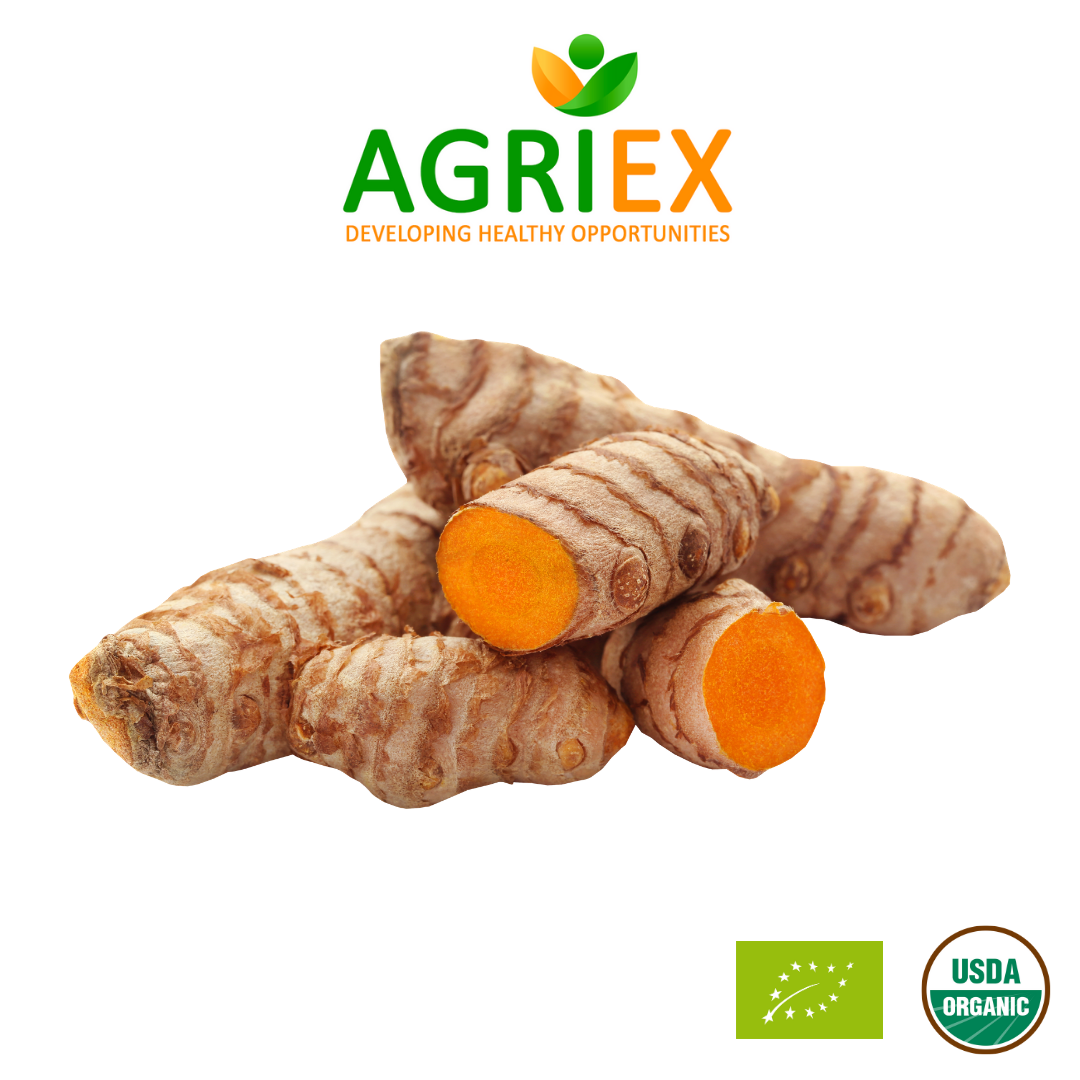 Organic Fresh Turmeric Ekowarehouse